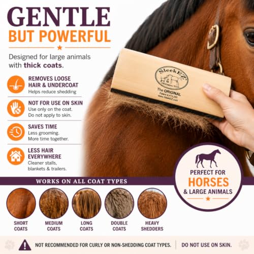 10 Inch Horse Brush (Horse Brush)