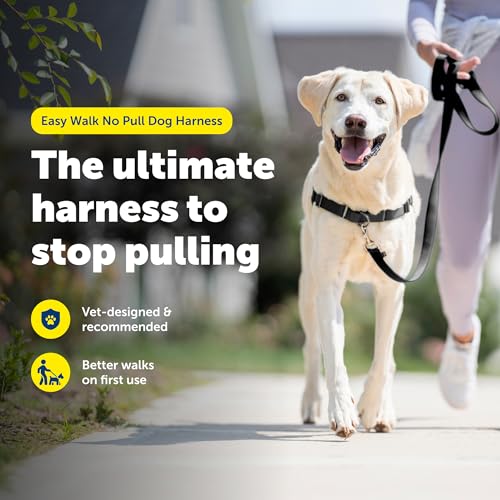Easy Walk Harness for Dogs (Large / Black)