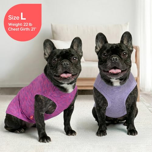2Pack Dog Shirt for Small Dogs Sun Protection Tank Top for Summer (X-Large (18-30lbs) / 2# 2Pack (Purple+Pink))