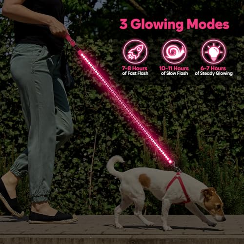Light Up Dog Leash (Pink)