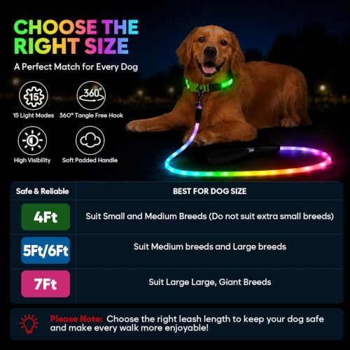 4Ft Light Up Dog Leash