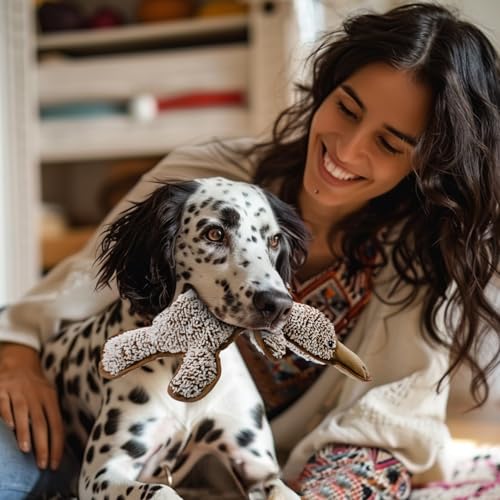 No Stuffing Dog Squeak Toys (Coffee)