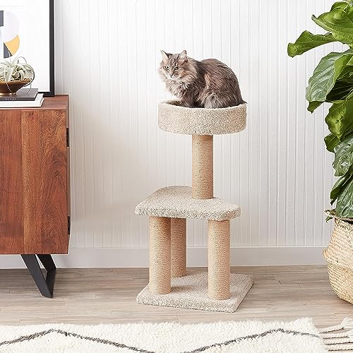 Cat Tree Multi (Medium)