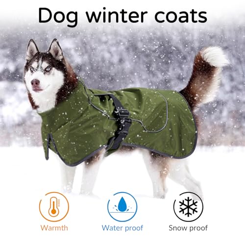 Waterproof Dog Raincoat (Green (Velvet Lining) / M)