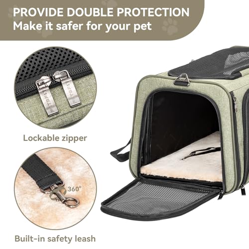 Small Double Expandable Cat Carrier for Kittens and Air Travel (16.0"L x 10.0"W x 9.0"H / Green)