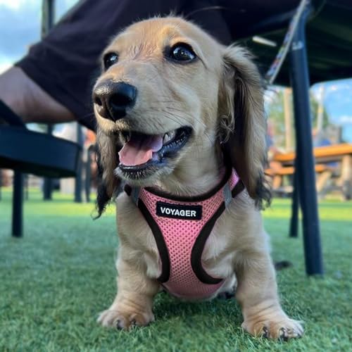 Voyager Step in Air All Weather Mesh Harness and Reflective Dog 5ft Leash Combo with Neoprene Handle (Pink/Black Trim / XS (Chest: 13 - 14.5"))