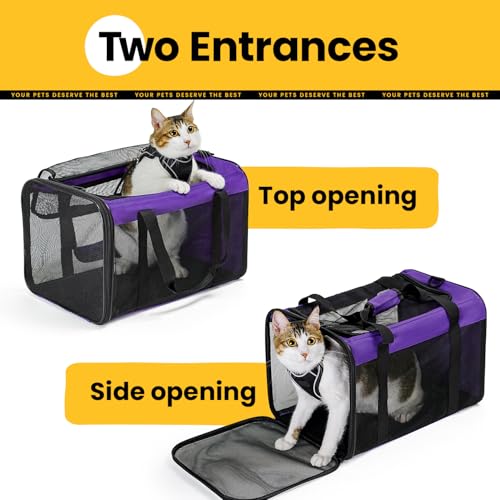 Cat Carrier Bag (M / Purple)