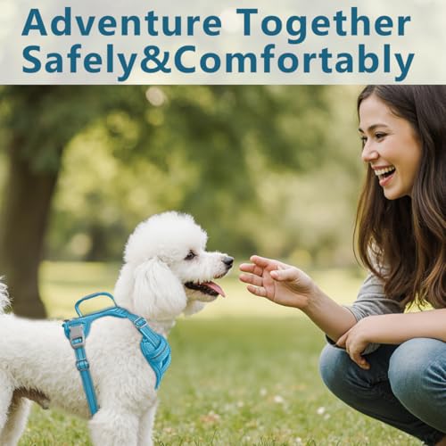 No Pull Dog Harness for Small Sized Dogs (Small(Chest:19.5-26”) / Ocean Blue)