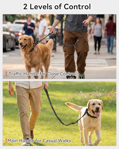 Tactical Bungee Dog Leash (Black)