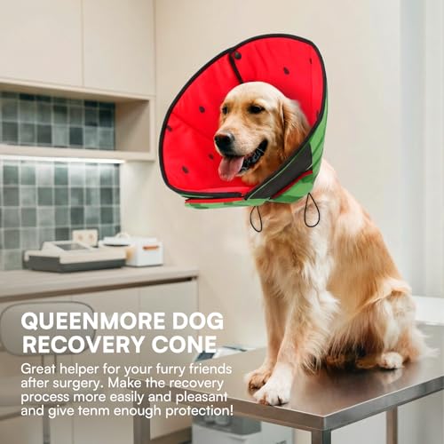 Dog Cones for Small Dogs (S / Watermelon)