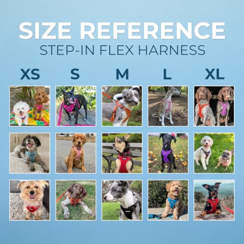 Voyager Adjustable Step (Harness Leash Set (Moss Green) / XS)