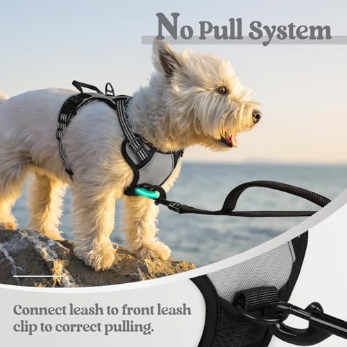 Dog Harness No Pull with 2 Leash Clips (X-Small / Gray)