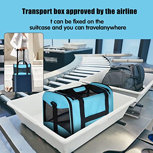 Cat Carrying Case (blue / 20.0"L x 13.0"W x 13.0"H)
