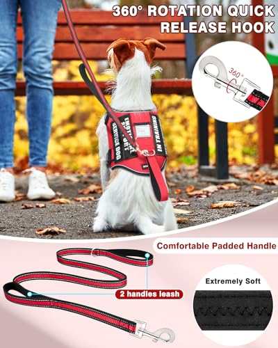 Service Dog Vest Harness and Leash Set+10 Patches Red XS (Extra-Small / Red)