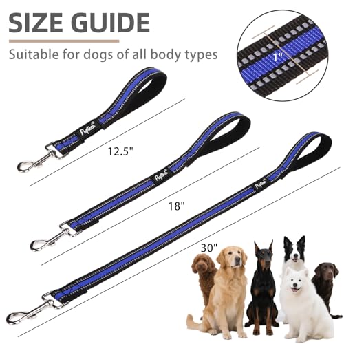 Reflective Short Dog Leashes 3 Pack for Walking and Training (Blue / 1FT+1.5FT+2.5FT)
