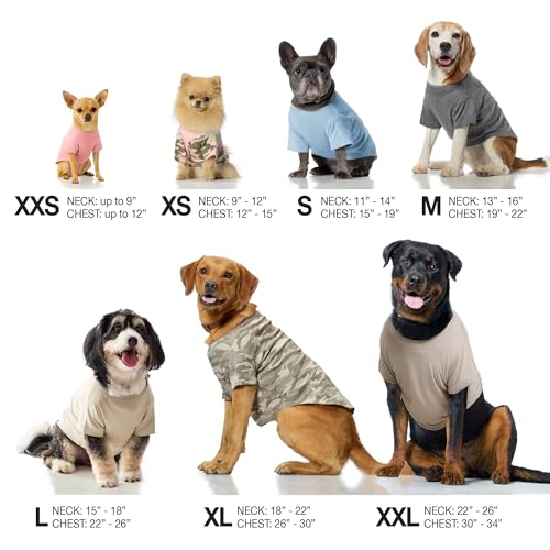Rover Dog T Shirt (XX-Large / Pink Preppy Plaid)