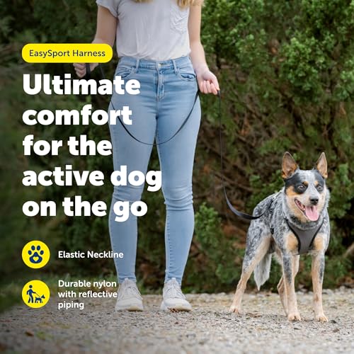 EasySport Dog Harness (Large / Charcoal)