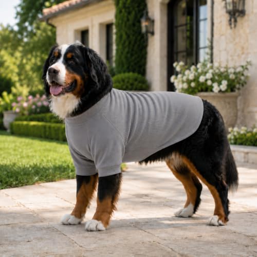 Ribbed Dog T Shirt Cotton Knitted Dog Sweaters for All Season Pet T (3XL (for Large Dog) / Dark gray)