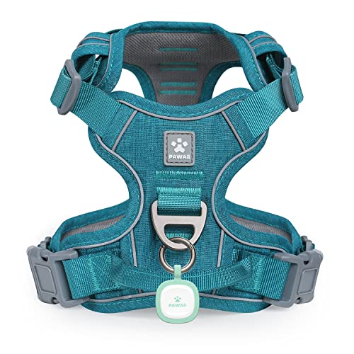 Small Dog Harness (XS (Chest: 12"-17" ) / Teal Green)