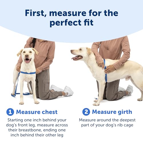 Easy Walk Deluxe Dog Harness (Medium / Apple Green)