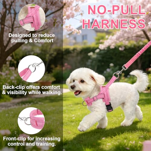Small Dog Harness and Leash Set (Light pink / XS: Chest 15"-18")