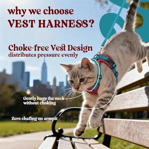 Cat Harness and Leash Set (Xxs / Red & Teal)