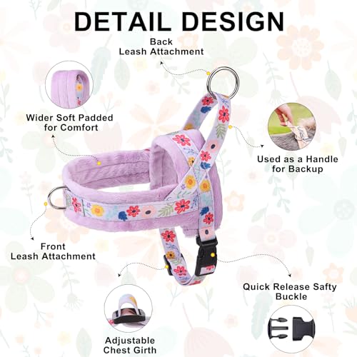 No Pull Small Dog Harness and Leash Set (Purple_Velvet / M: Chest 21"-26.7")