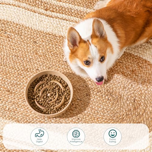 Ceramic Slow Feeder Dog Bowl (M - 1.5 Cups / Khaki)