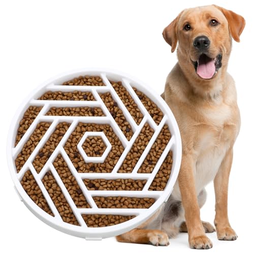 Slow Feeder Dog Bowl (white)