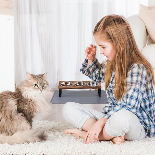 Upgraded Elevated Cat Bowls with Food Mat