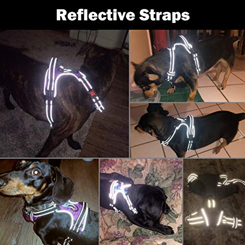 No Pull Dog Harnesses for Small Dogs Reflective Adjustable (Small / Green)