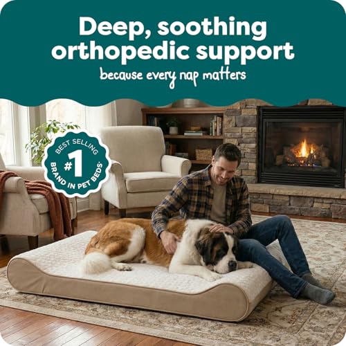 Orthopedic Dog Bed for Extra Large Dogs w (Giant/XXXL / Cream)