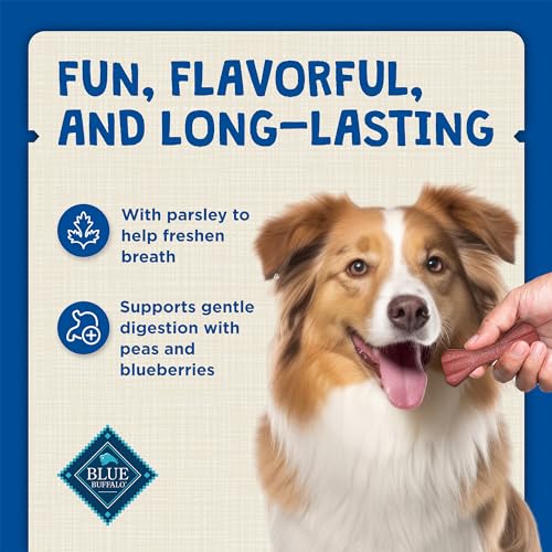 Large Dental Bones (27 Ounce (Pack of 1))