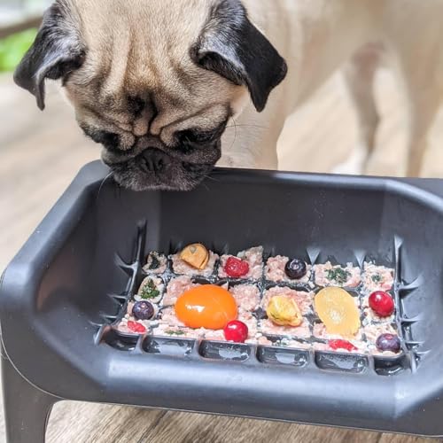 The Fluff Trough Elevated Slow Feeder Dog Bowl (Black)