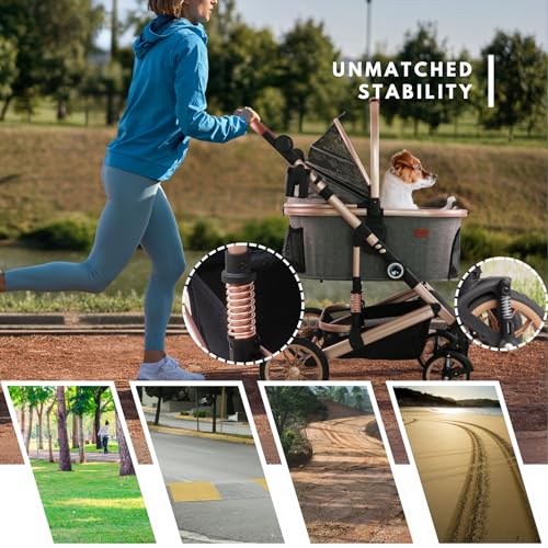 Dog Stroller with Detachable Carrier (Grey)