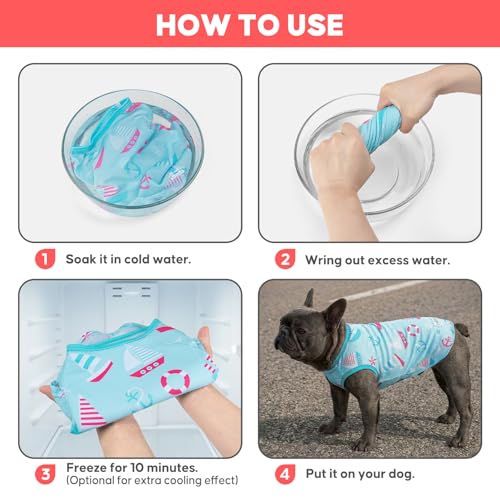 2Pack Dog Shirt for Small Dogs Soft Breathable T (Large (13-19lbs) / 3# Sailing Boat+Ice Cream)