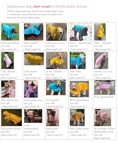 Dog Raincoats with Reflective Strip Hoodie (B2-Orange / 28B (85-100 lbs))