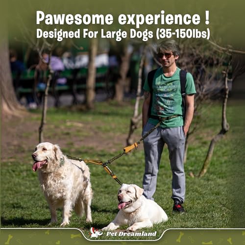 Exquisite Hands Free Double Dog Leash for Two Dogs with Tangle (Khaki & Orange)