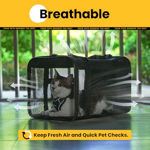 Cat Carrier Bag (17.0"L x 11.0"W x 11.0"H / Black)