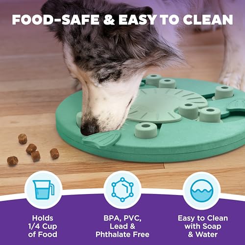 Nina Ottosson Dog Worker Dog Toy Treat Puzzle (Dog Worker (Green) / 1 Count (Pack of 1))
