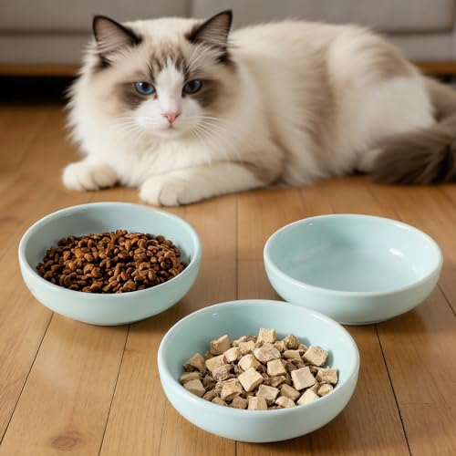 5.3 in Ceramic Cat Dishes (Light Blue)