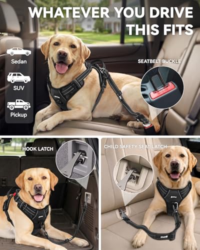 3-in-1 Bungee Dog Seat Belt for Car, Medium and Large Dogs, Black (Black / (21.6-31.5) inch)