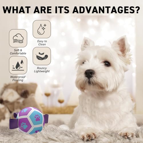 Small Dog Toys (Purple Blue / 3.5 Inch)