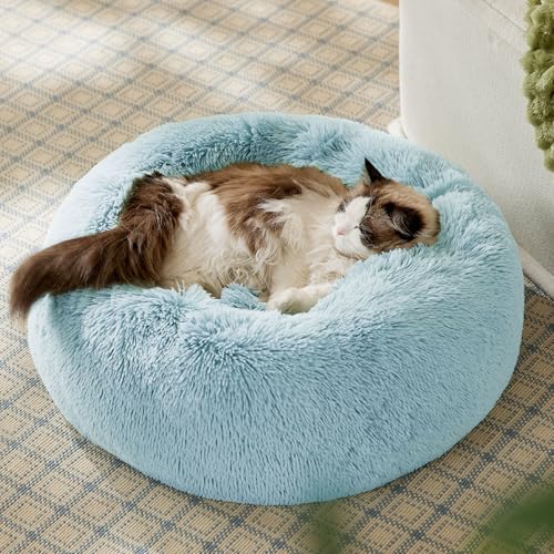 Calming Cat Beds Donut Round Washable Kitten Bed (20"L x 20"W x 6"Th / Aqua Blue)