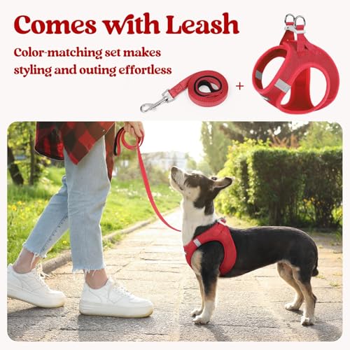 Dog Harness Medium Sized and Leash Set (Red / Xxl (chest: 21.6 - 23.7"))