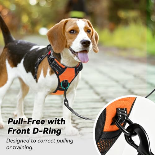 No Pull Dog Harness Small with Front Clip & Neck Release Buckle (XS / Orange)