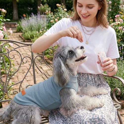 3Pack Dog Shirts Lightweight Waffle Dog Shirt for Small DogsSleeveless Dog Shirt for Small Medium Boy Girl Dogs Cozy & Breathable Pet Vest (XXS(Back: 7.9", Chest: 11.8", 1.1-3.3lbs) / Striped+Light Blue+Iron Blue)