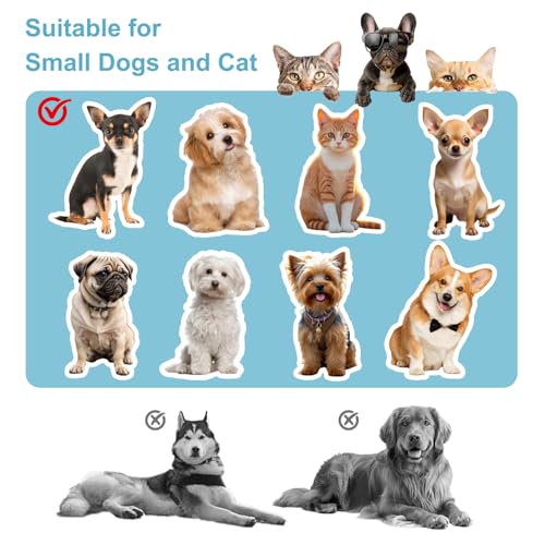 Pet Steps 2 in