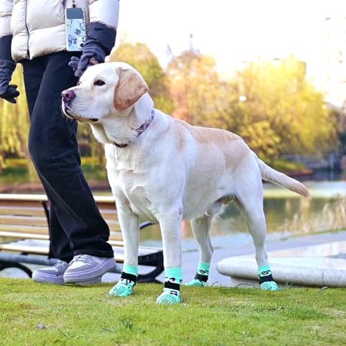 Dog Socks for Hot (Leopard Green / Medium (4 Pack))