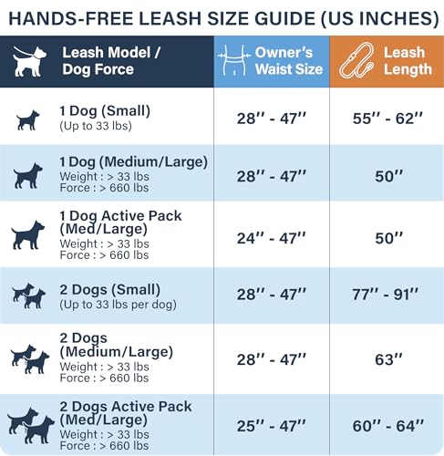Hands Free Dual Dog Leash (Gradient Blue / 2 dogs M/L)